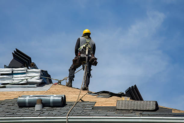 Professional Roof Replacement technician working in Warda, TX
